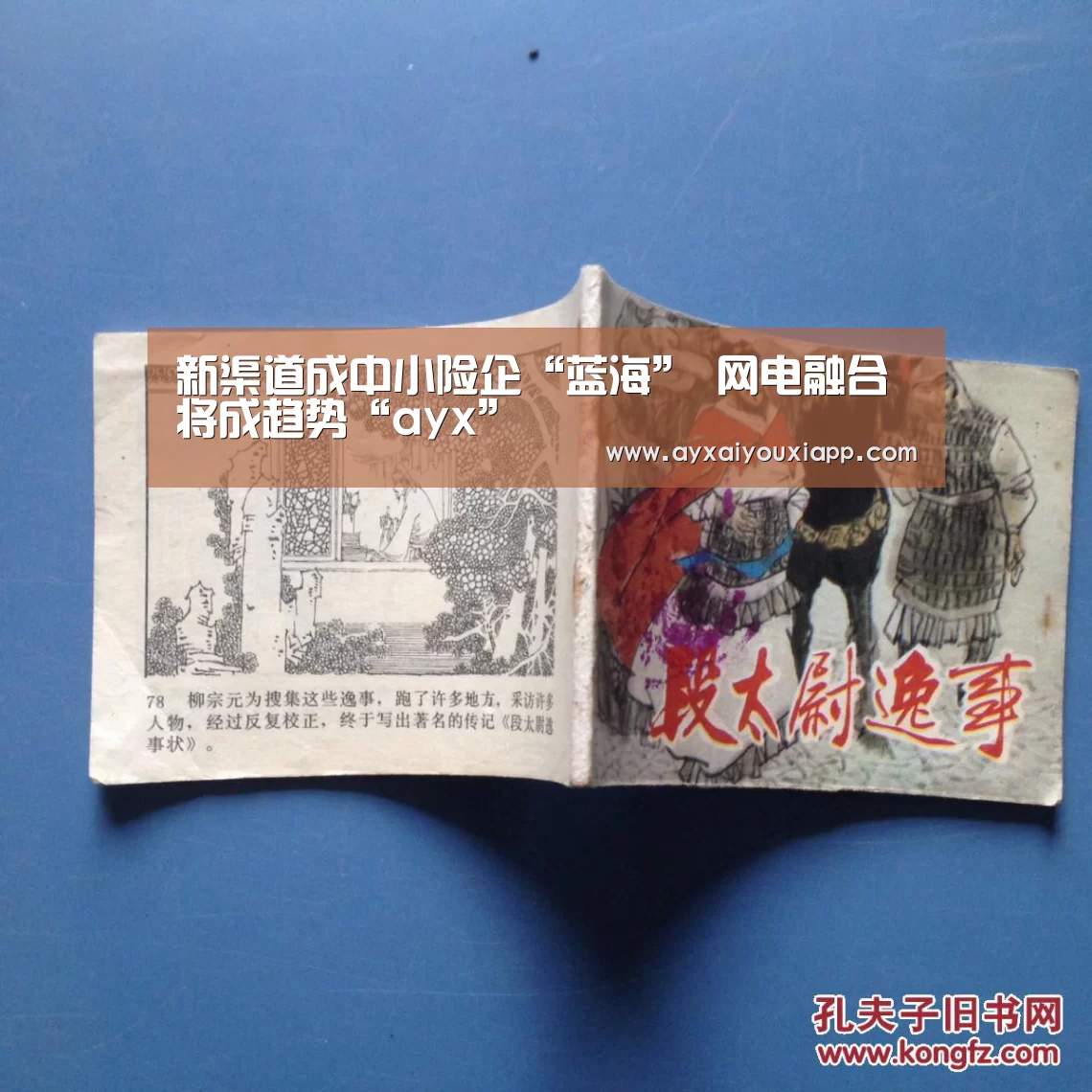 新渠道成中小险企“蓝海” 网电融合将成趋势“ayx”(图2) 爱游戏娱乐