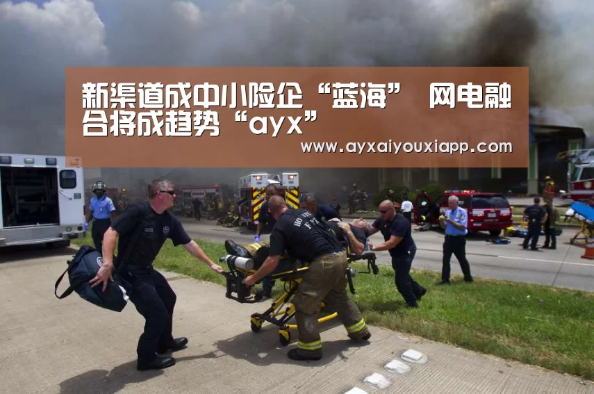 新渠道成中小险企“蓝海” 网电融合将成趋势“ayx”(图4) 新渠道成中小险企“蓝海” 网电融合将成趋势“ayx”(图4)
