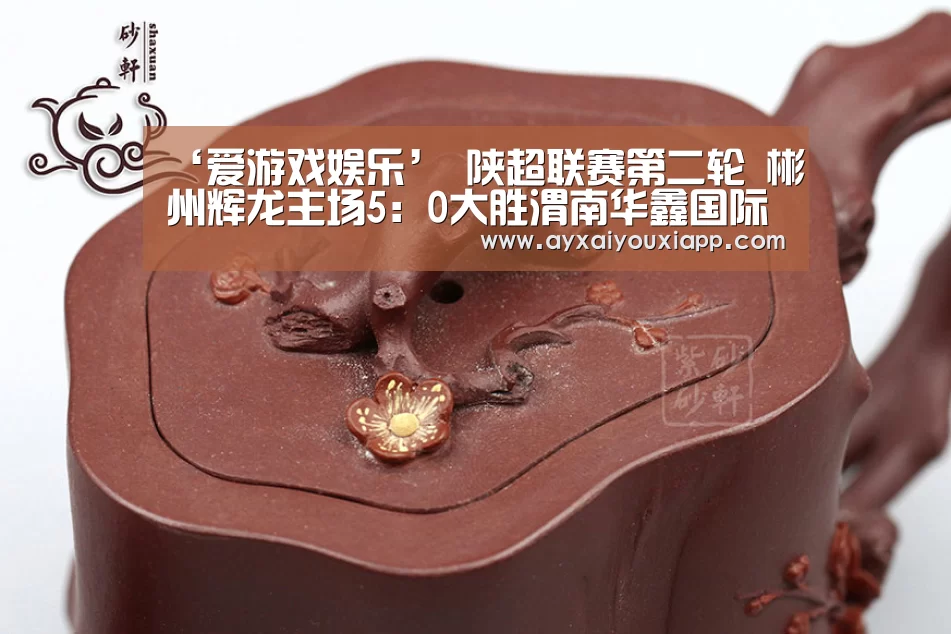 ‘爱游戏娱乐’
陕超联赛第二轮 彬州辉龙主场5:0大胜渭南华鑫国际(图5) 爱游戏官方
