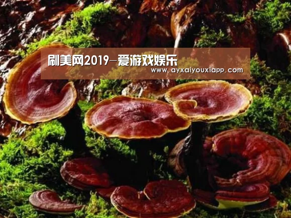 爱游戏官方