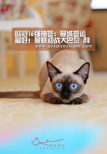 欧冠16强抽签：曼城签运最好！曼联迎战大巴黎 利物浦对决拜仁【ayx】(图1)