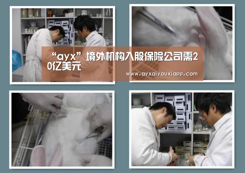 爱游戏娱乐