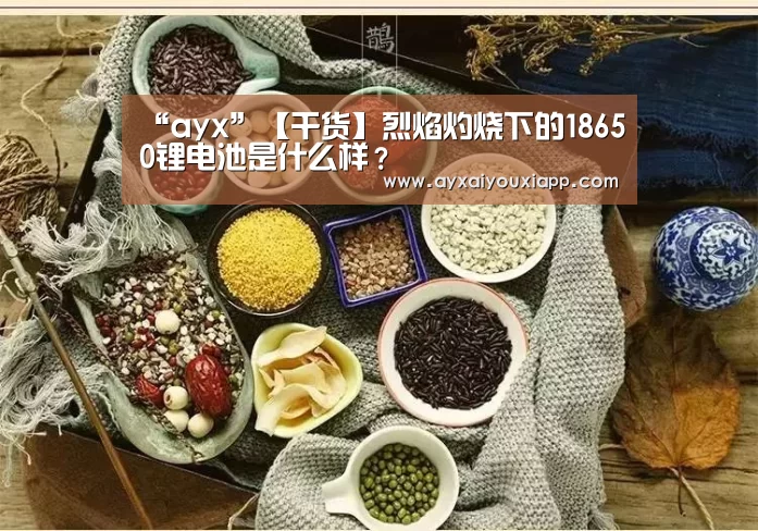 “ayx”【干货】烈焰灼烧下的18650锂电池是什么样？(图3)