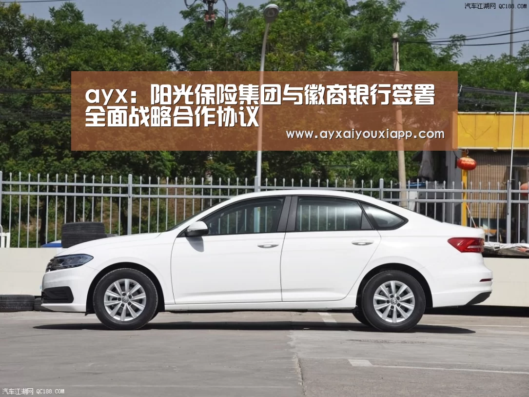ayx:阳光保险集团与徽商银行签署全面战略合作协议(图1) 爱游戏官方