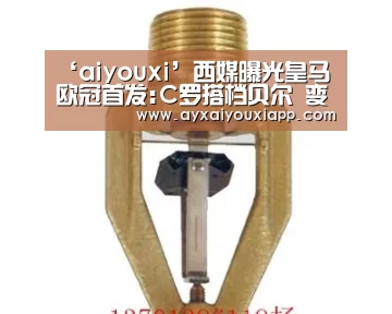 ‘aiyouxi’西媒曝光皇马欧冠首发:C罗搭档贝尔 变阵双前锋(图4) ‘aiyouxi’西媒曝光皇马欧冠首发:C罗搭档贝尔 变阵双前锋(图4)
